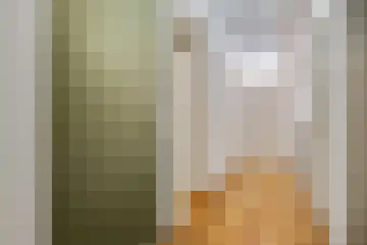 Bram van den Berghstraat 67 Oss thumbnail 17