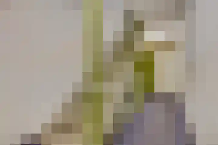 Bram van den Berghstraat 67 Oss thumbnail 22