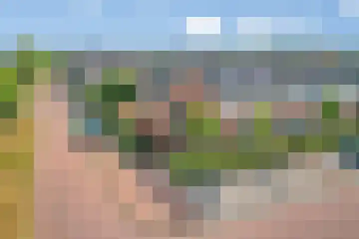 Bramentuin 58 Teteringen thumbnail 53