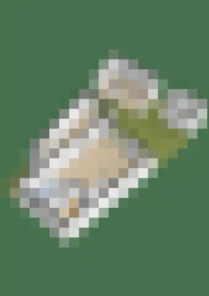 Bramentuin 58 Teteringen thumbnail 66