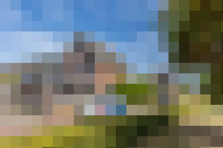 Bramentuin 82 Teteringen thumbnail 34
