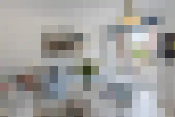 Bramentuin 82 Teteringen thumbnail 7