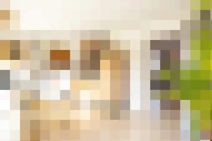 Bramertweg 20 Urmond thumbnail 14