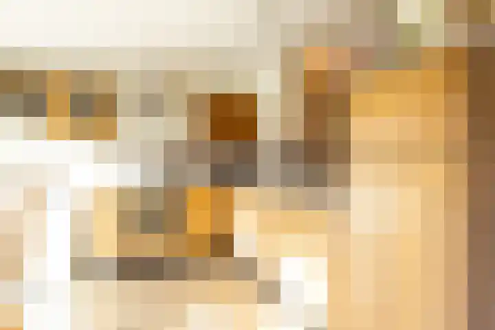 Bramertweg 20 Urmond thumbnail 15