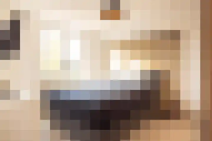 Bramertweg 20 Urmond thumbnail 25