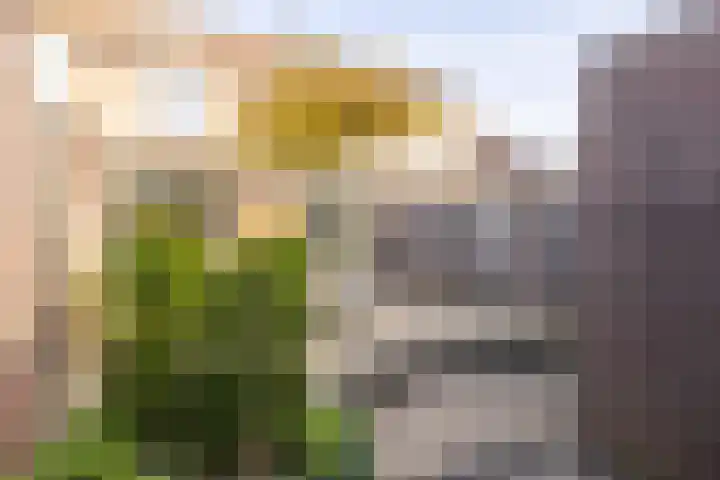 Bramertweg 20 Urmond thumbnail 32