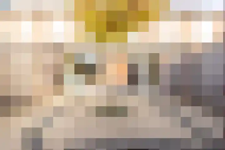 Bramertweg 20 Urmond thumbnail 33