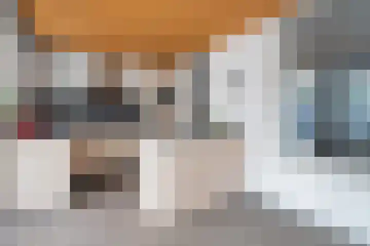 Bramertweg 28 Urmond thumbnail 8