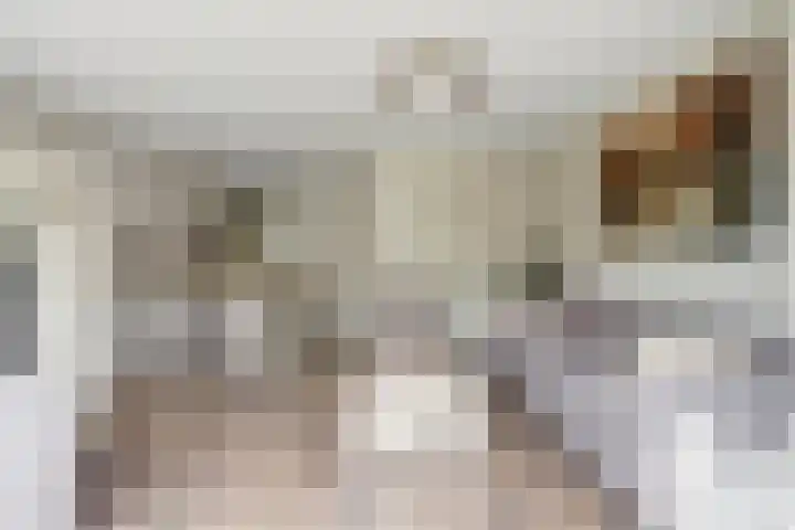 Branco 106 Dordrecht thumbnail 4