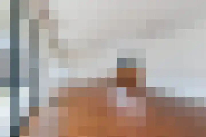 Branco 162 Dordrecht thumbnail 10
