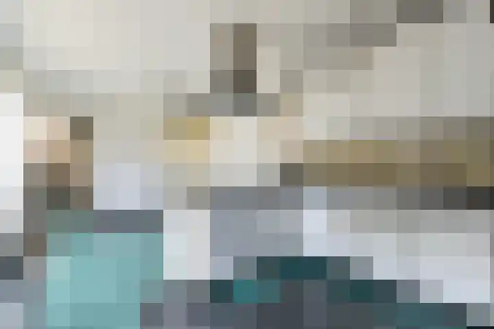 Branco 162 Dordrecht thumbnail 14