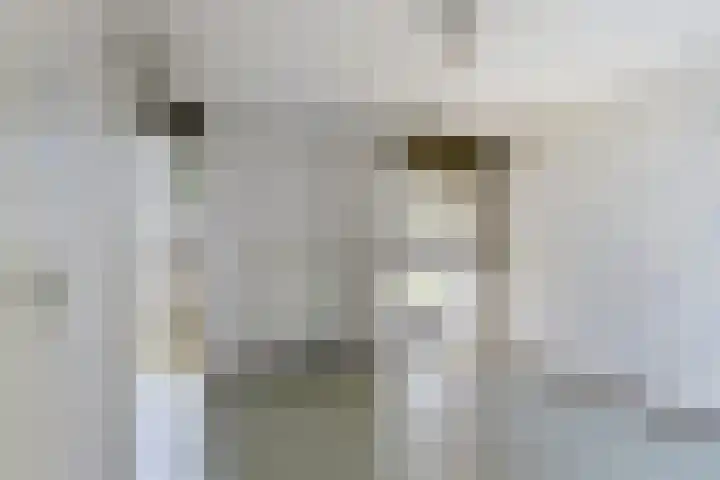 Branco 162 Dordrecht thumbnail 21