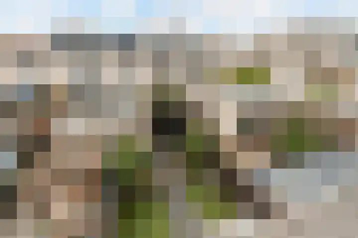 Branco 36 Dordrecht thumbnail 30
