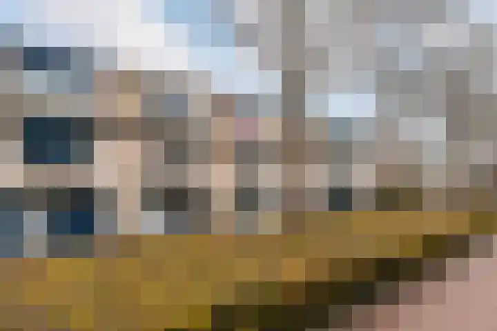 Branco 36 Dordrecht thumbnail 6