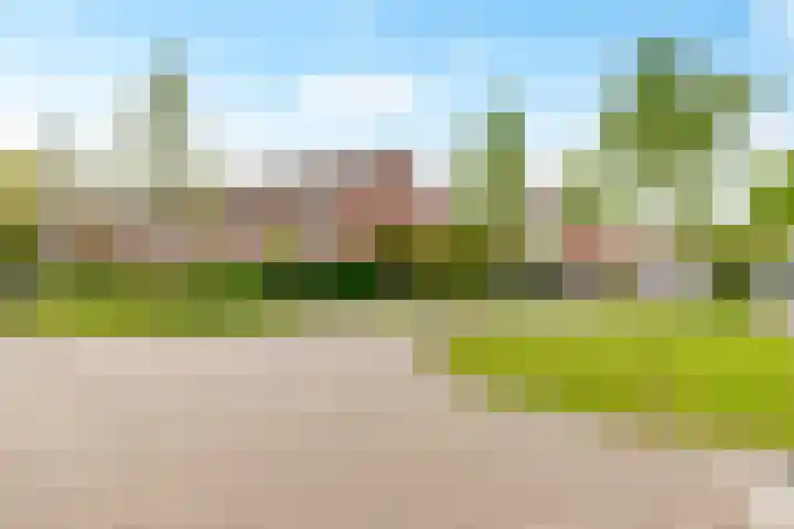 Brancusistraat 3 Almere thumbnail 52