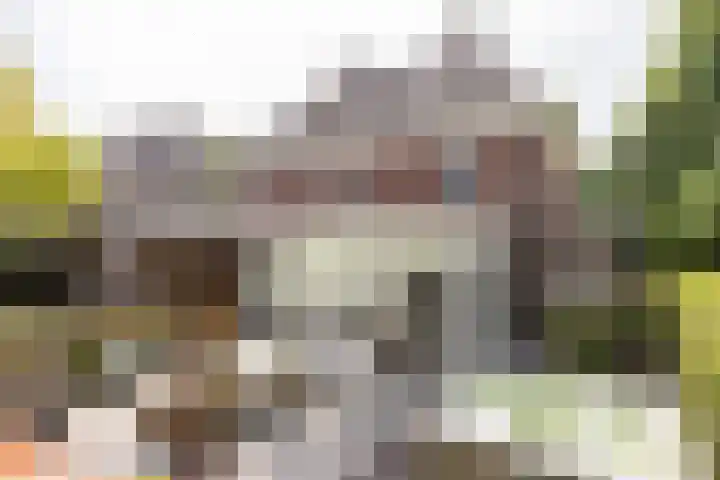 Brand 16 Helmond thumbnail 38