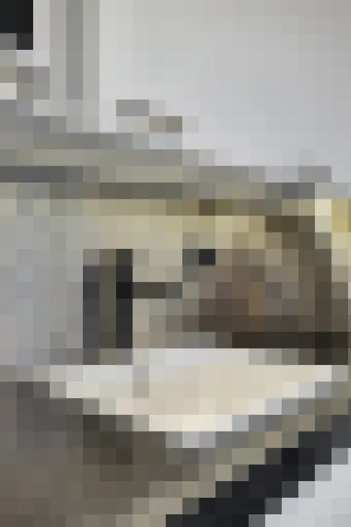 Brandaris 73 Hoofddorp thumbnail 12
