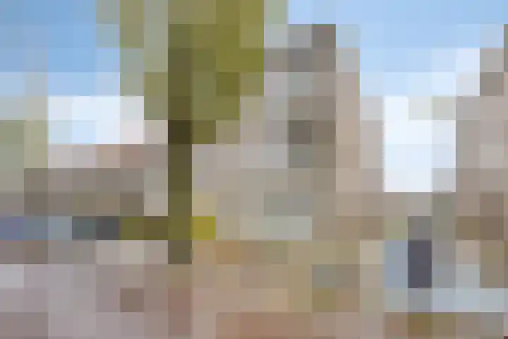 Brandaris 73 Hoofddorp thumbnail 5