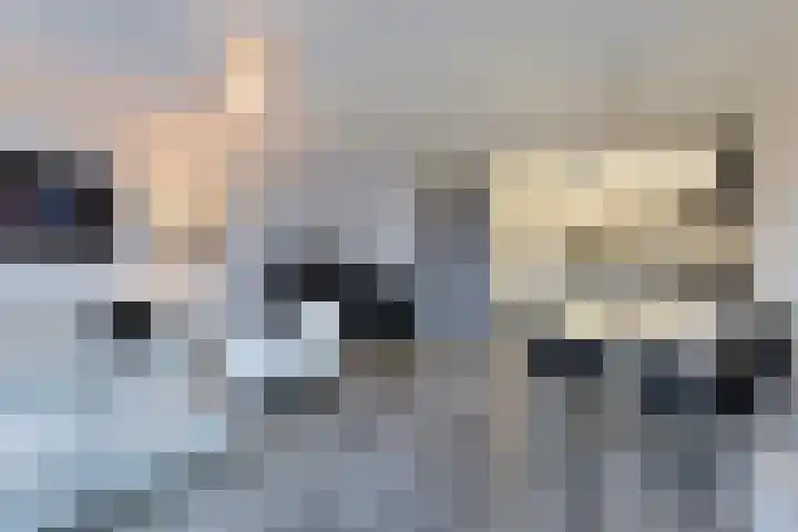 Brandaris 73 Hoofddorp thumbnail 9