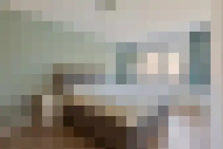Brandebeemd 16 Breda thumbnail 10