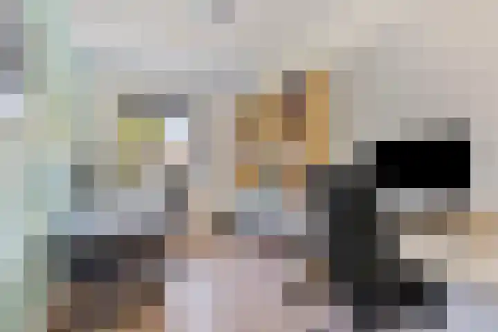Brandebeemd 16 Breda thumbnail 13