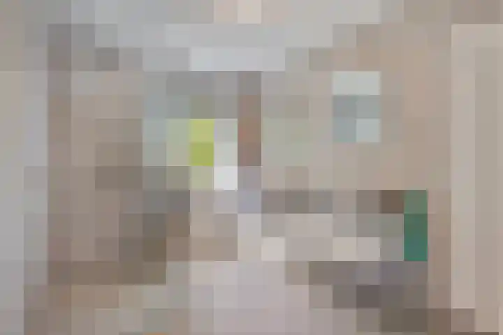 Brandebeemd 16 Breda thumbnail 14
