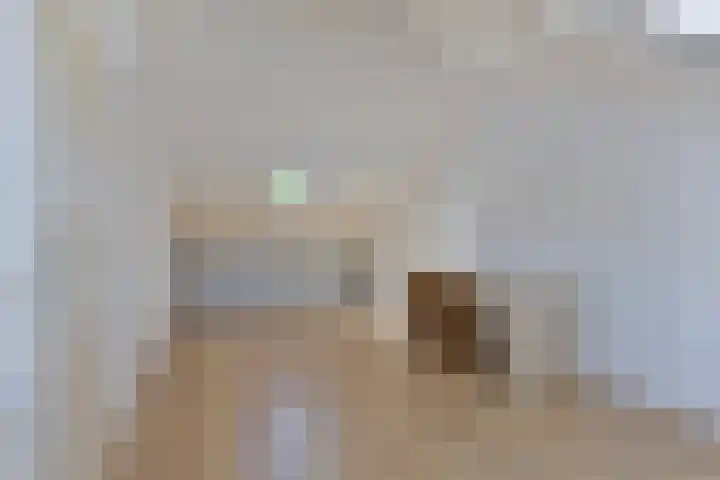 Brandebeemd 16 Breda thumbnail 18