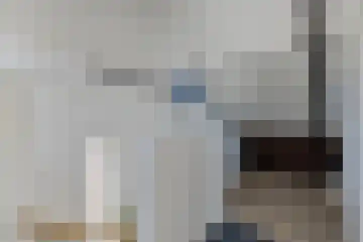 Brandebeemd 16 Breda thumbnail 20