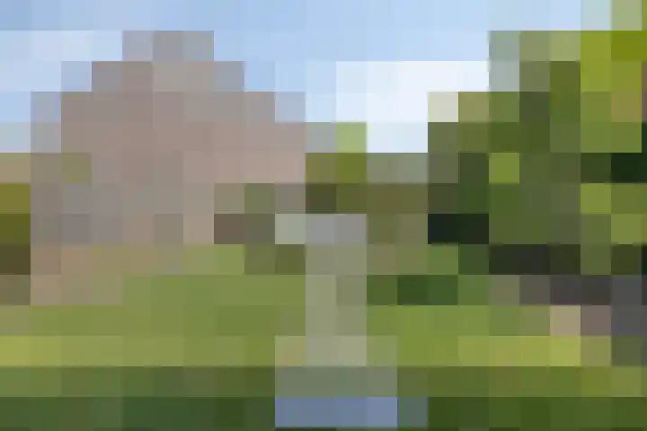 Brandebeemd 16 Breda thumbnail 21
