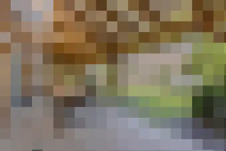 Brandebeemd 16 Breda thumbnail 23