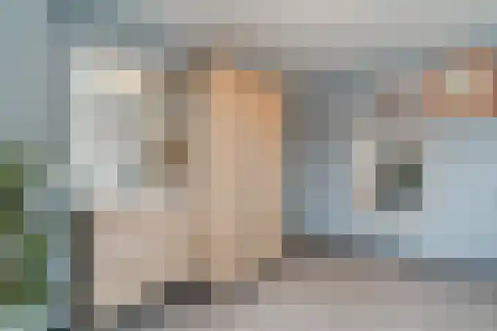 Brandebeemd 76 Breda thumbnail 17