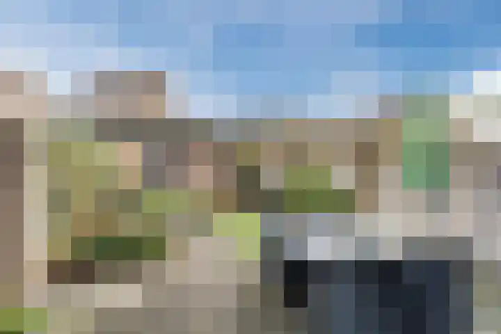 Brandebeemd 76 Breda thumbnail 28