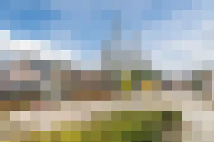 Brandebeemd 76 Breda thumbnail 34