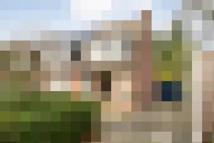Brandemaat 115 in Meppel