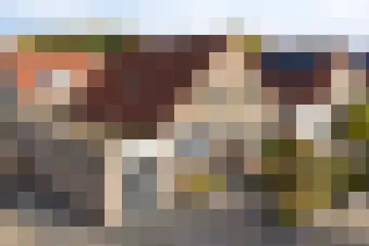Branderijmolen 9 Helmond thumbnail 7