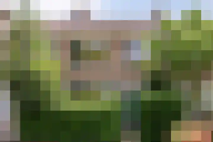 Brandespad 16 Rotterdam thumbnail 24