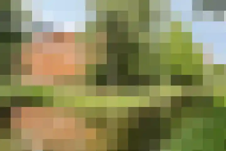 Brandespad 16 Rotterdam thumbnail 29