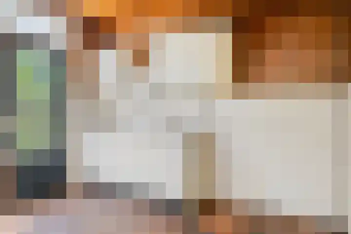 Brandespad 16 Rotterdam thumbnail 5