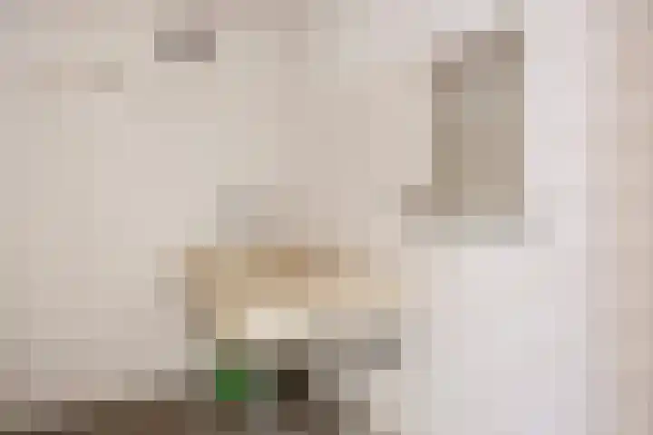 Brandespad 16 Rotterdam thumbnail 8