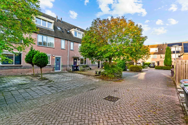 Brandgans 8 in Uithoorn foto