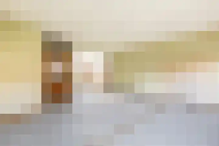 Branding 81 Hellevoetsluis thumbnail 11