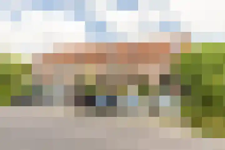 Branding 81 Hellevoetsluis thumbnail 6