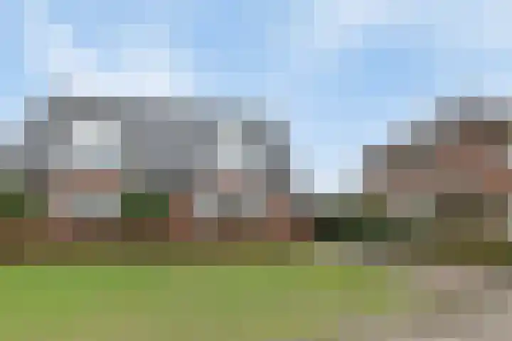 Brandnetellaan 4 Beilen