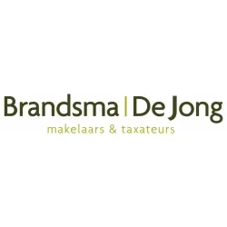 Logo van Brandsma | De Jong makelaars & taxateurs Hoogezand