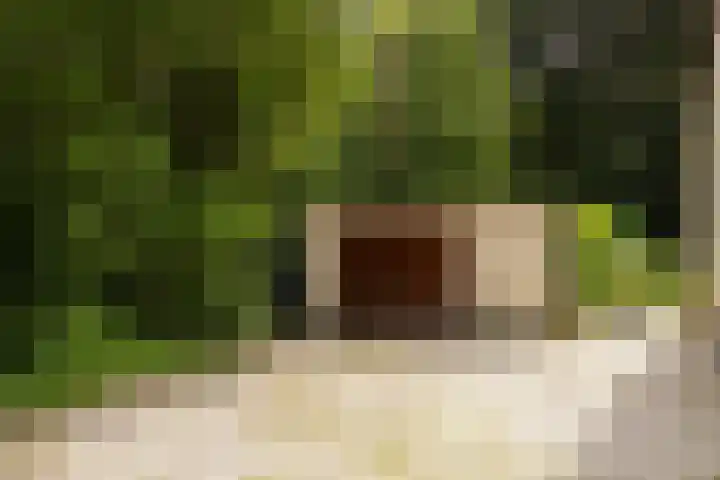 Brandsweg 44 Hulshorst thumbnail 10