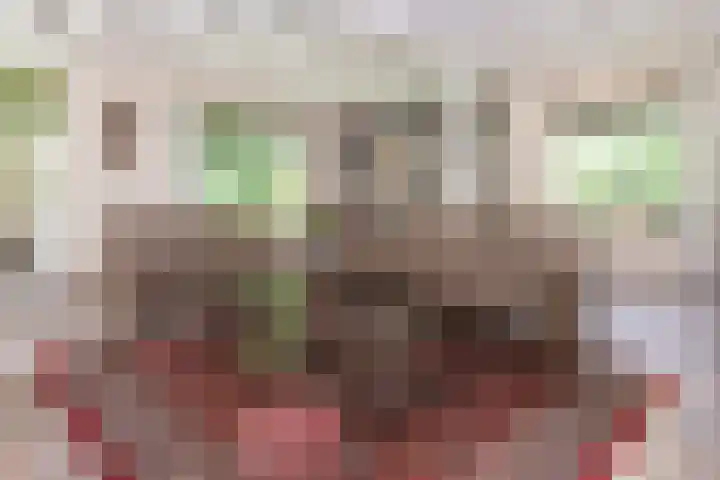 Brandsweg 44 Hulshorst thumbnail 14