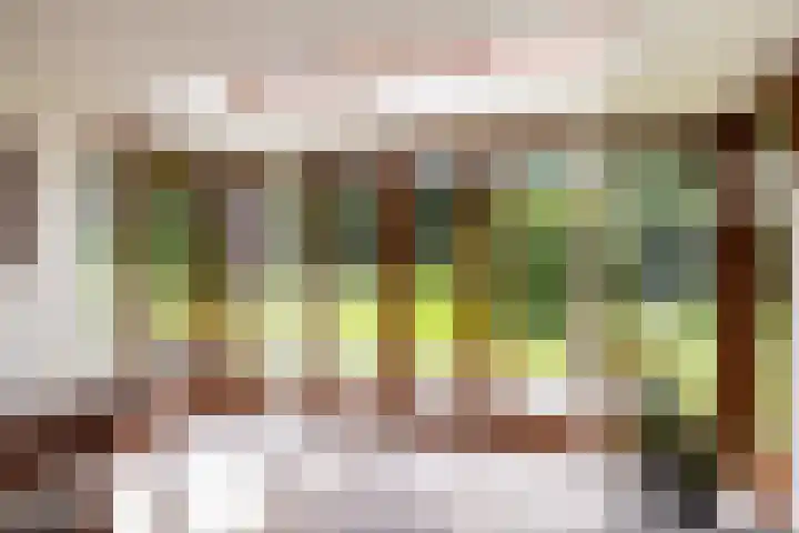 Brandsweg 44 Hulshorst thumbnail 19