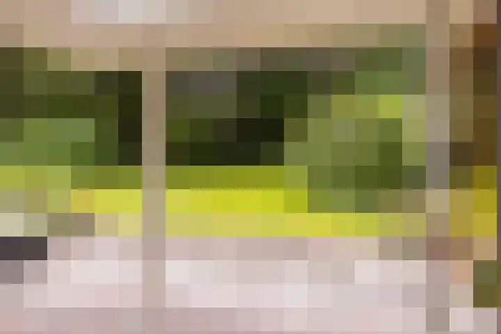 Brandsweg 44 Hulshorst thumbnail 20