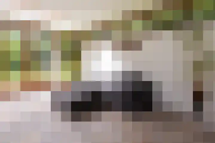 Brandsweg 44 Hulshorst thumbnail 21