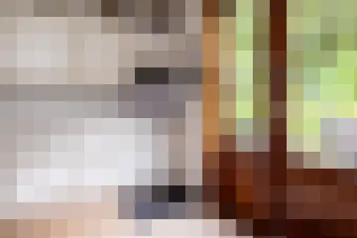 Brandsweg 44 Hulshorst thumbnail 24